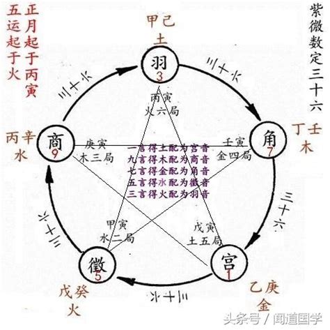 泉中水二局|紫微斗數之基本術語解釋